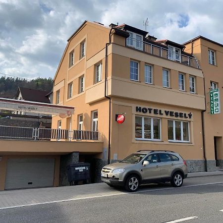 Penzion Vesely Zelezny Brod Exterior foto